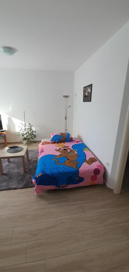 Apartment Sunrise With Private Parking プーラ エクステリア 写真